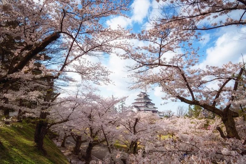 🍵 린카쿠 (차실) 이미지 6